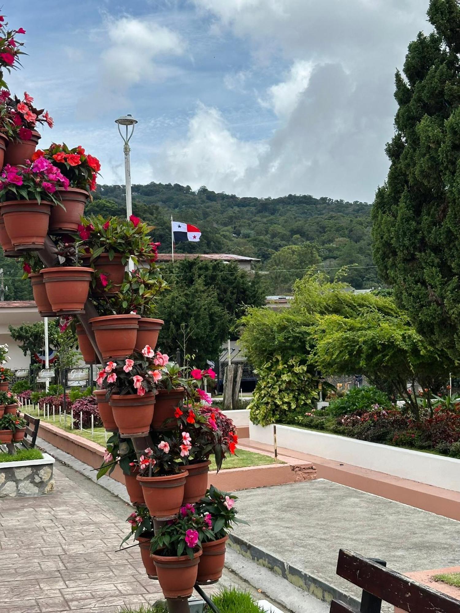 Hotel La Casa De Dona Cata Bajo Boquete Exteriér fotografie